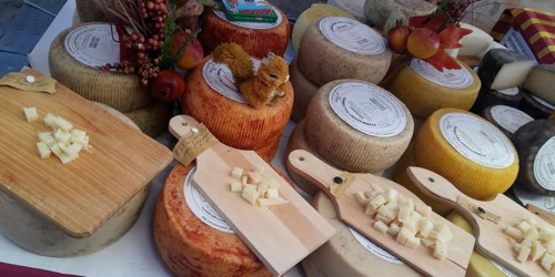 degustazione-formaggi-toscani